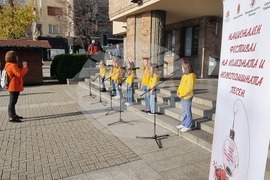 Хасково - фестивал - концерт