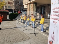 Хасково - фестивал - концерт