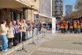 Хасково - фестивал - концерт