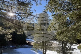 Курортен комплекс Мальовица - зимен сезон - откриване