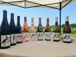 Снимка: Българска фондация Биоразнообразие