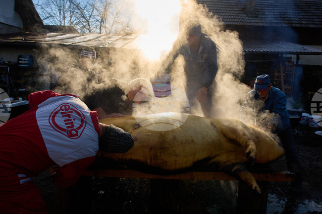 Romania Christmas Ignat