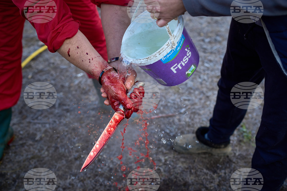 Romania Christmas Ignat