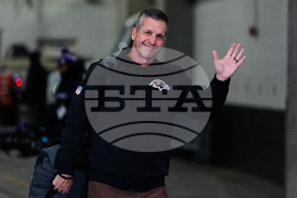 Ravens Bengals Football