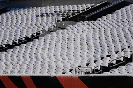 Ravens Bengals Football