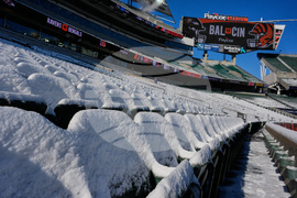 Ravens Bengals Football