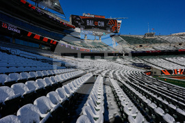 Ravens Bengals Football