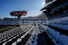 Ravens Bengals Football