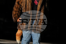 Ravens Bengals Football