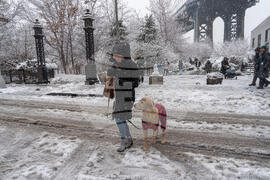 Winter Weather New York