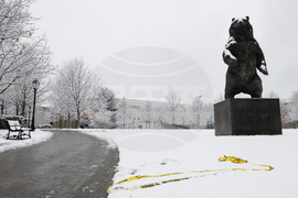 Brown University Shooting