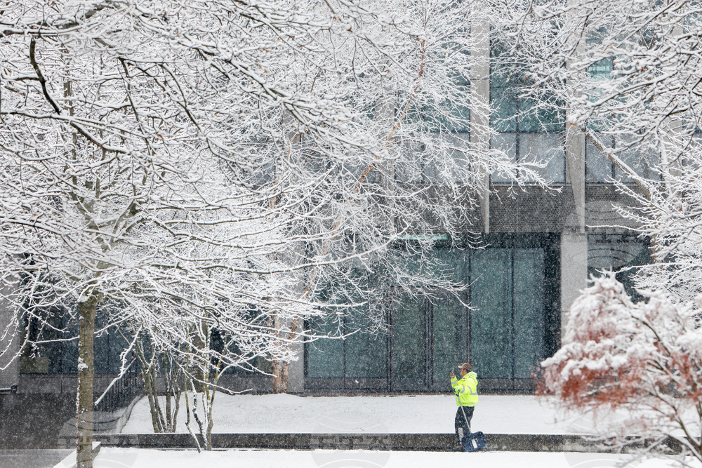 Brown University Shooting
