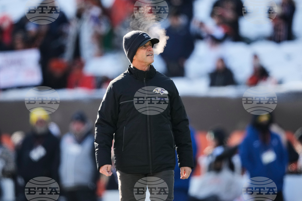 Ravens Bengals Football