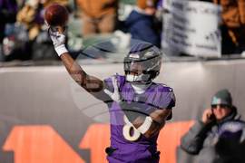 Ravens Bengals Football