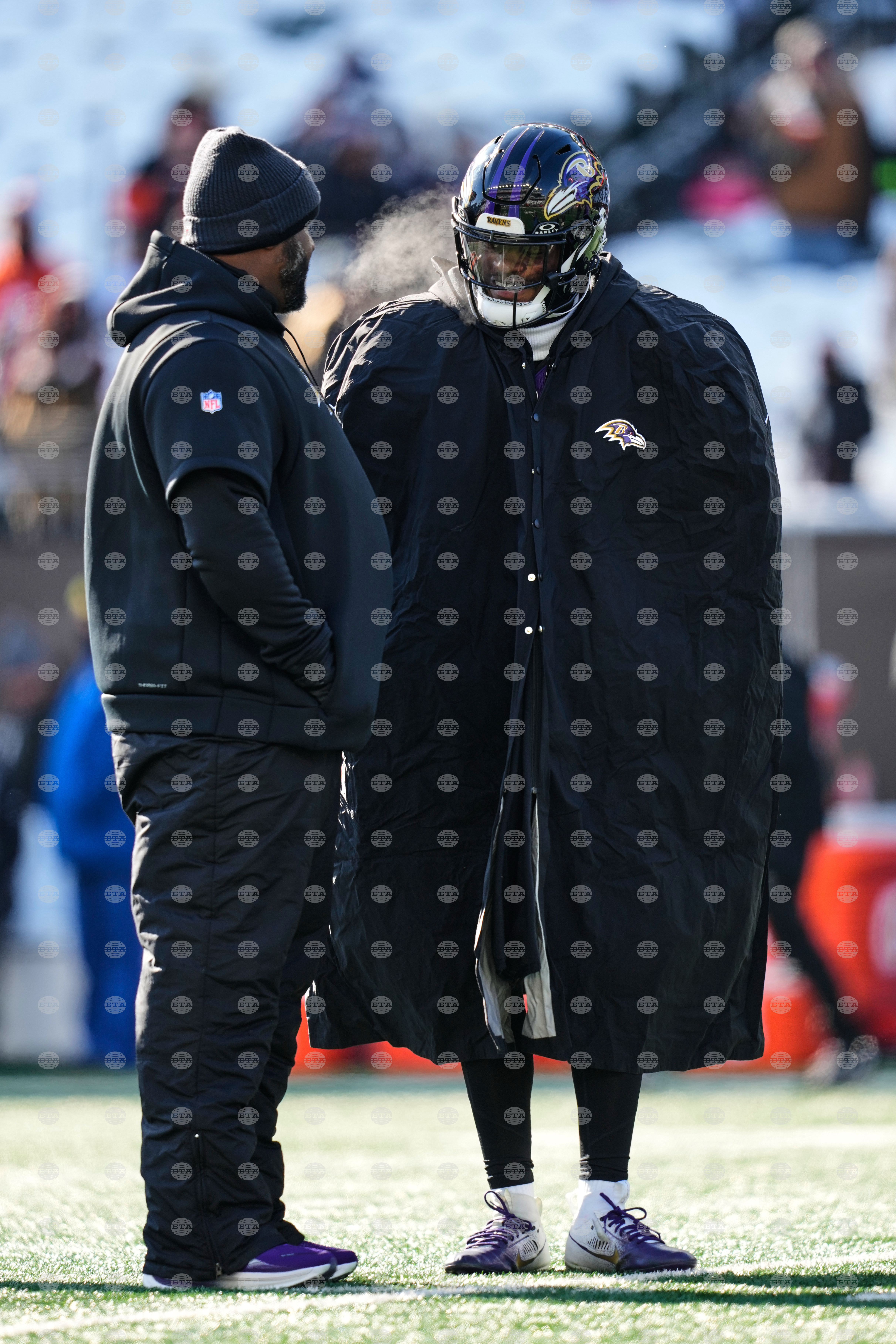 Ravens Bengals Football