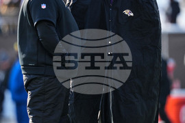 Ravens Bengals Football