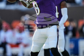 Ravens Bengals Football