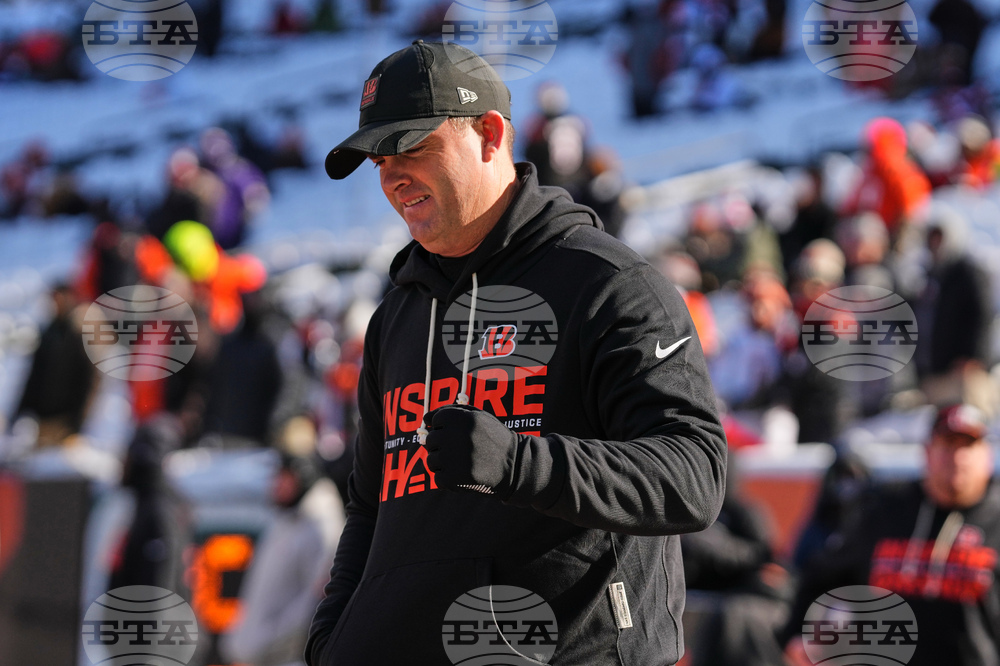 Ravens Bengals Football