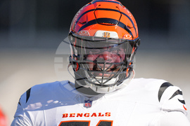 Ravens Bengals Football