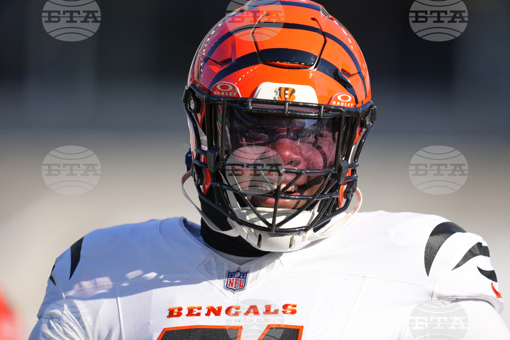 Ravens Bengals Football