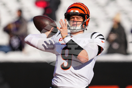 Ravens Bengals Football