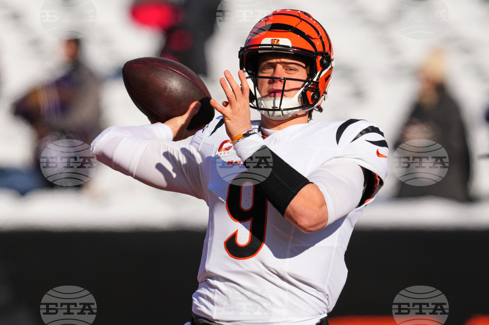 Ravens Bengals Football