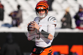 Ravens Bengals Football