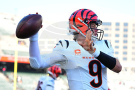 Ravens Bengals Football