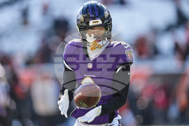 Ravens Bengals Football