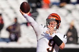 Ravens Bengals Football