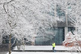 Brown University Shooting
