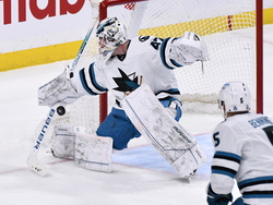 Sharks Jets Hockey