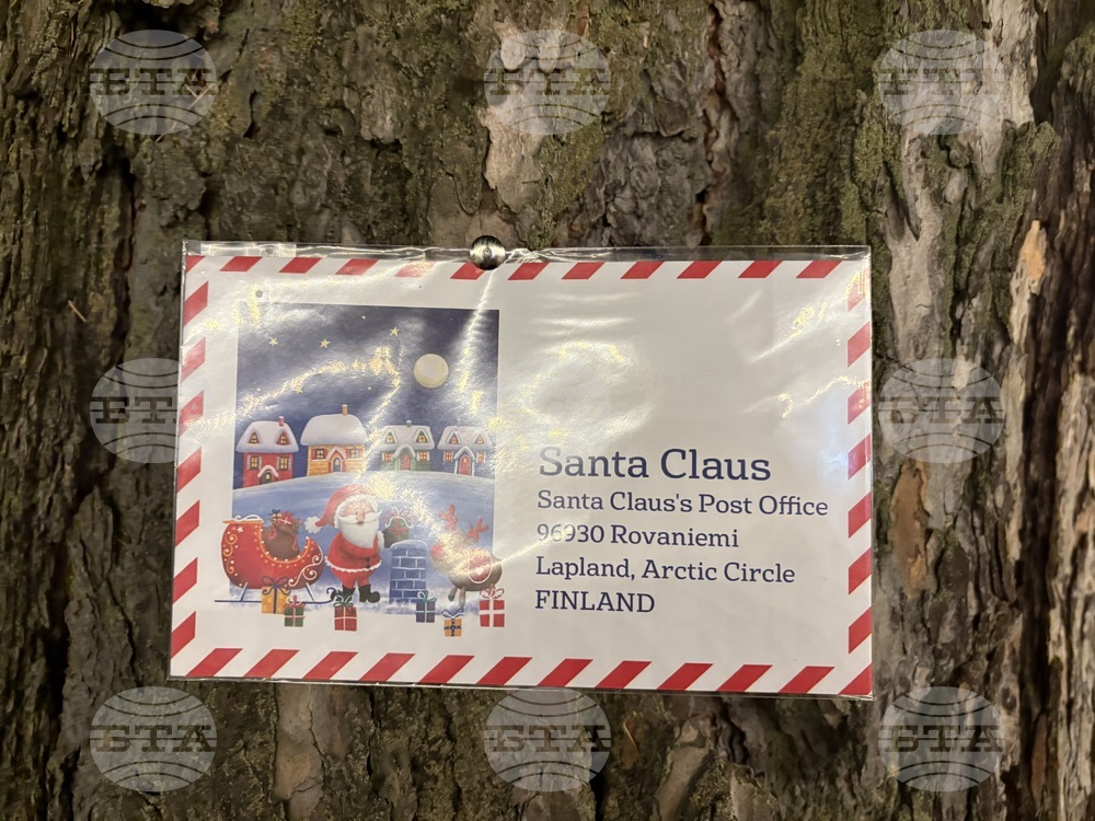 Самоков - ледена пързалка - къща на елфа Джингълс