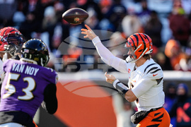 Ravens Bengals Football