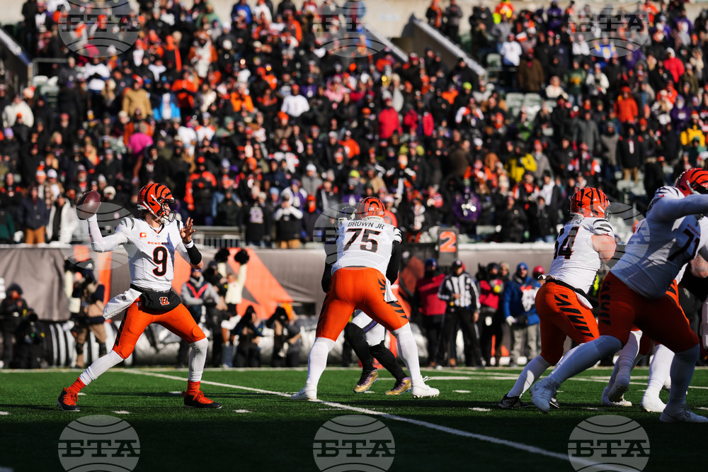 Ravens Bengals Football