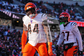 Ravens Bengals Football