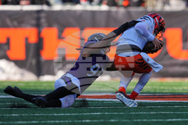 Ravens Bengals Football