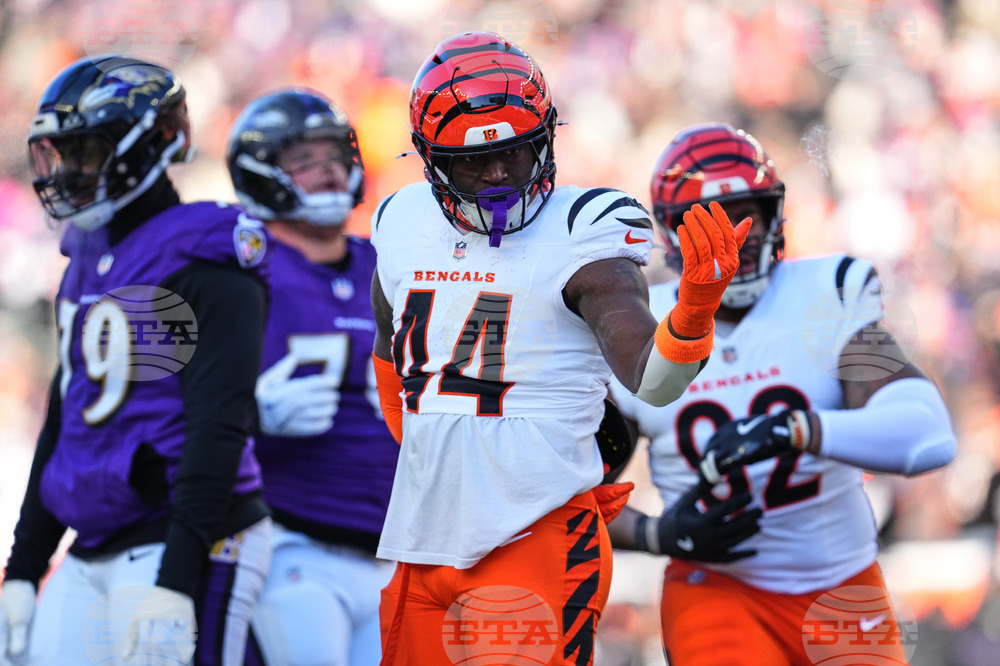 Ravens Bengals Football