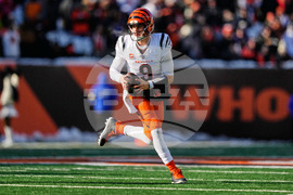 Ravens Bengals Football