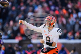 Ravens Bengals Football