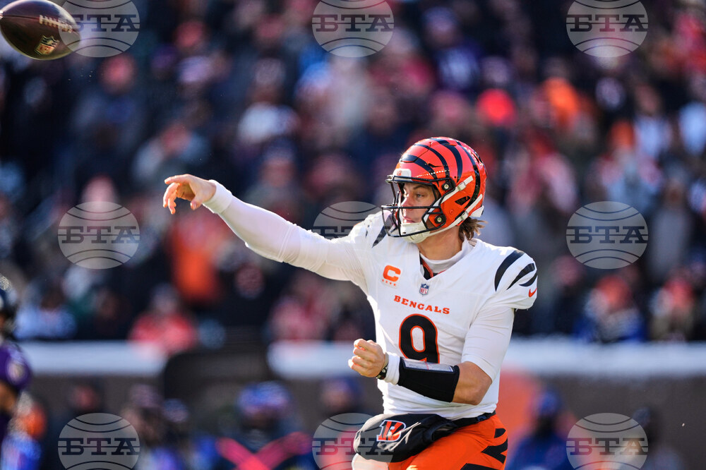 Ravens Bengals Football