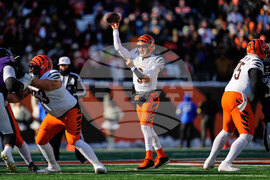 Ravens Bengals Football