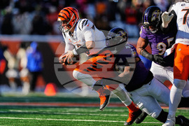 Ravens Bengals Football