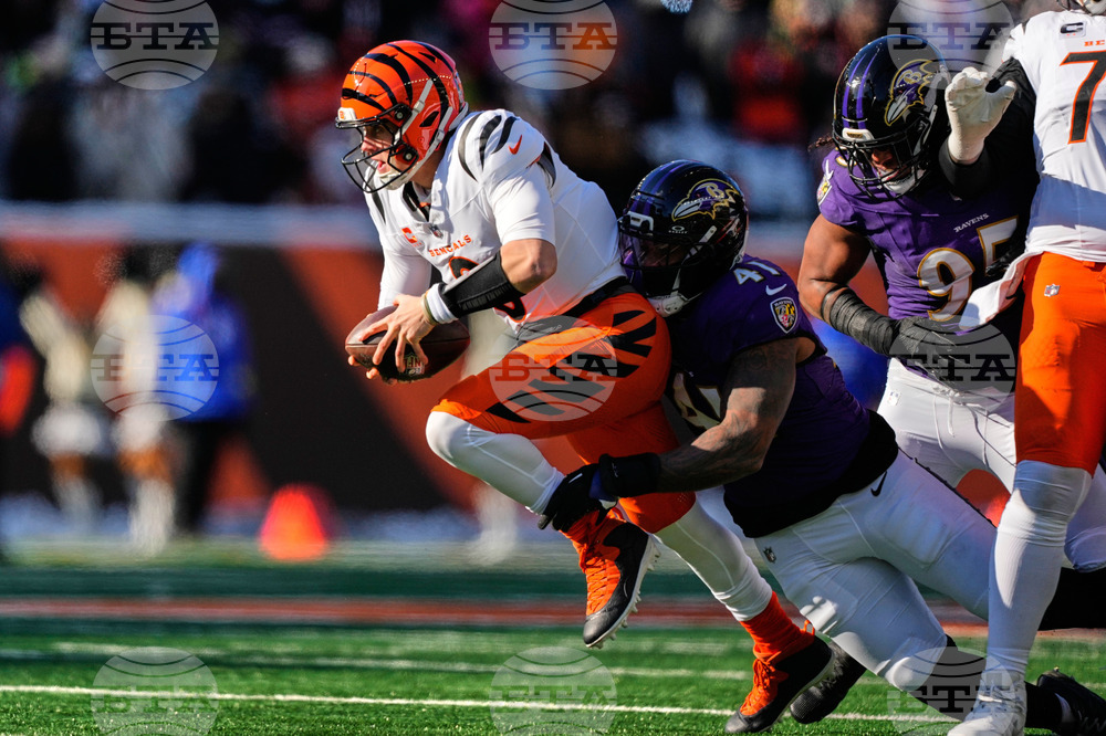 Ravens Bengals Football