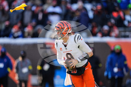 Ravens Bengals Football