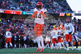 Ravens Bengals Football