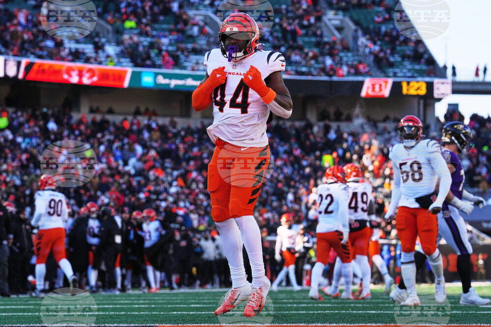 Ravens Bengals Football