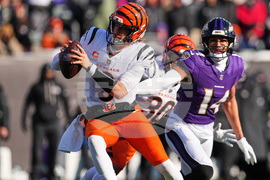Ravens Bengals Football