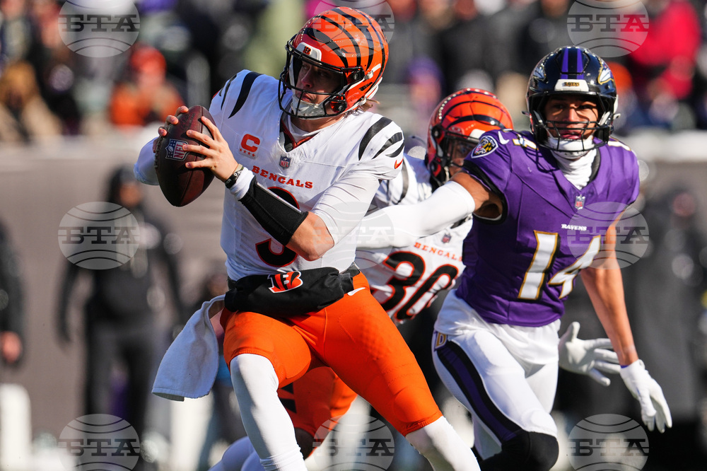 Ravens Bengals Football