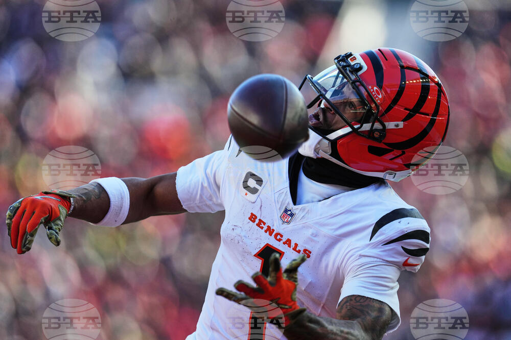 Ravens Bengals Football